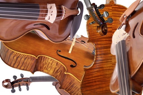violorama 5 string violins violas and cellos