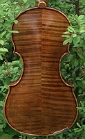 two piece violin/viola flamed maple back
