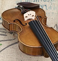 bridge, f-hole, waist