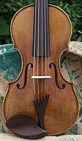 violin spruce top