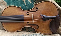 violin spruce top