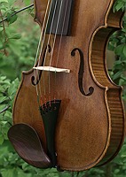 five string harp style tailpiece