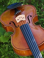 viola 5 string body