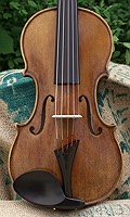 violin spruce top