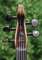 violorama cutom pegbox