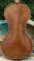 5 string violin back