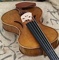 5 string violin bridge