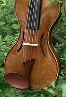 plain smooth f-hole design