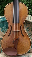 violin spruce top
