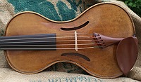 violin spruce top