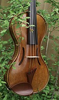 five string violin in a tree
