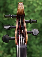 5 string pegbox design