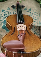 players view of boxwood harp style violin tailpiece