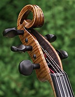 5 string open scroll