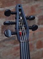 violorama pegbox shape